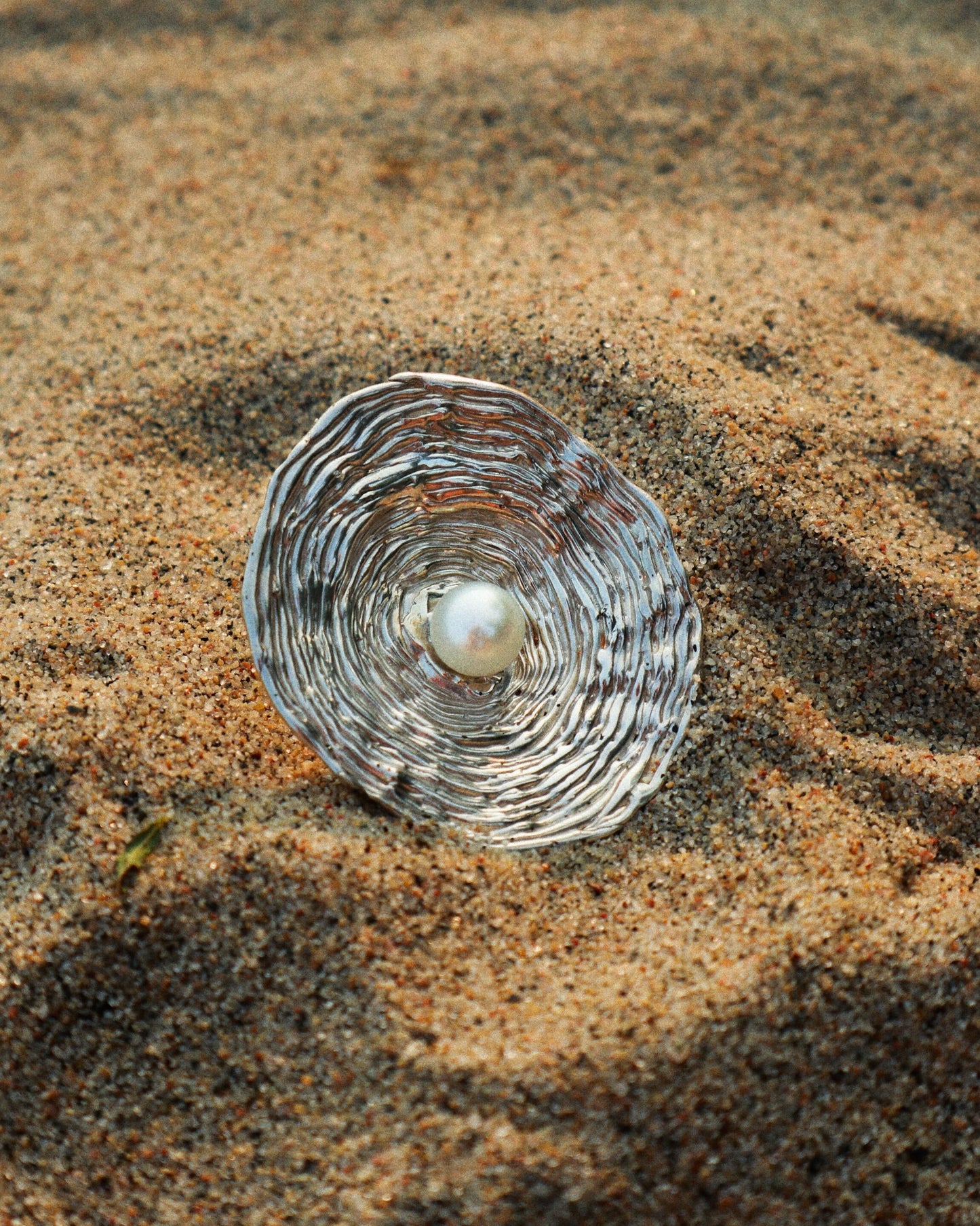 Novae Ring, Currently on display at Lewis Gallery